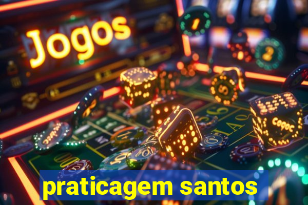 praticagem santos